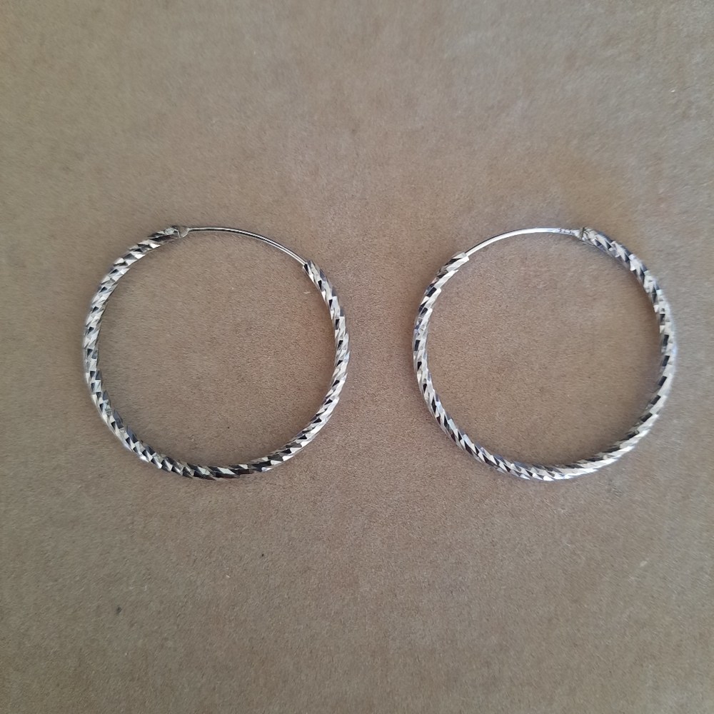 Elegant Silver Hoop Earrings